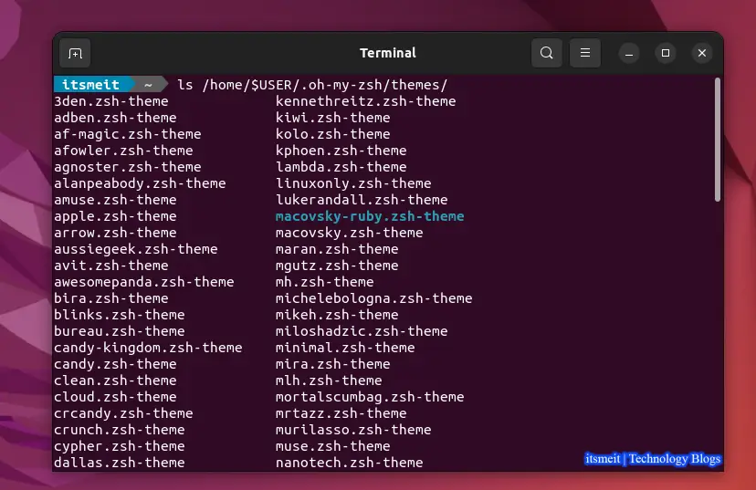 Oh My Zsh Theme Directory