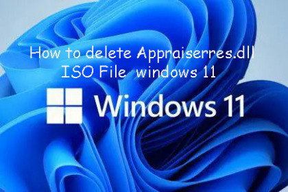How to delete Appraiserres.dll in File ISO windows 11