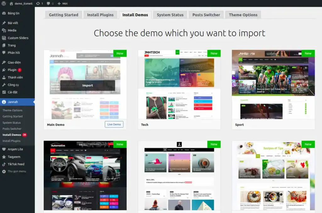 Choose demo template to import Jannah  - News WordPress Themes For Magazines