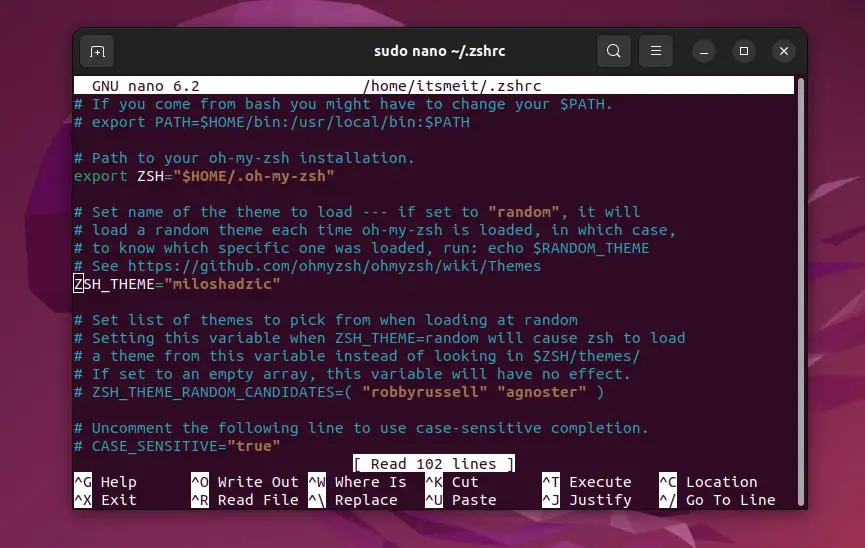 config Oh My Zsh Linux terminal theme