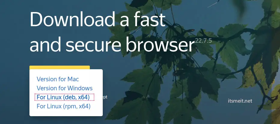 Download DEB file to install Yandex browser on Ubuntu 22.04