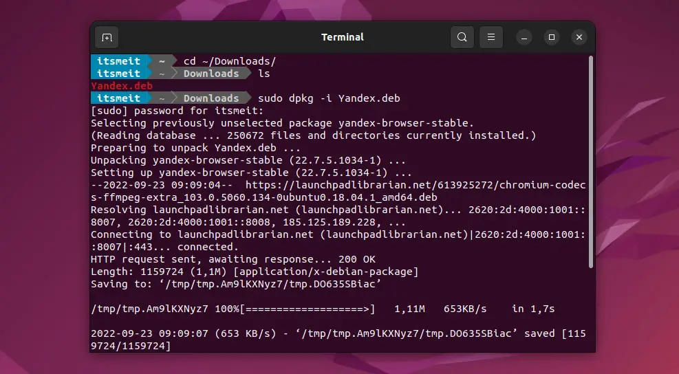 install Yandex browser on Ubuntu 22.04 using deb file