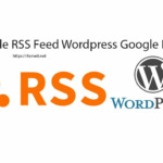 How to disable RSS feed in wordpress & Google Index - itsmeit.biz