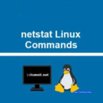 How to use netstat command Linux or Ubuntu 22.04 With Examples