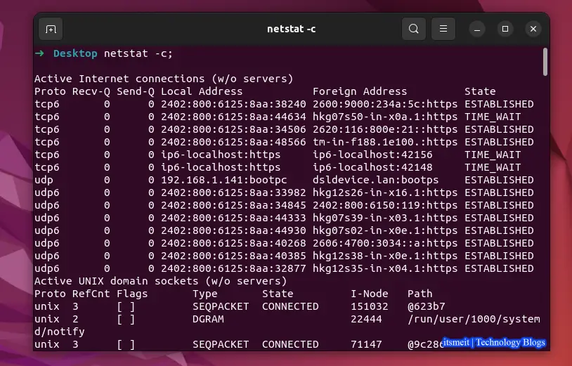 Ví dụ về lệnh netstat -c trên Linux hoặc Ubuntu