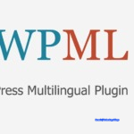 Download the plugin WPML v4.6.3 - Create multilingual website for Wordpress