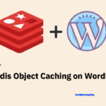 How to Configure Redis Cache to Speed ​​Up WordPress Site