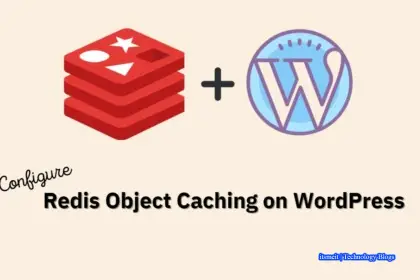 How to Configure Redis Cache to Speed ​​Up WordPress Site