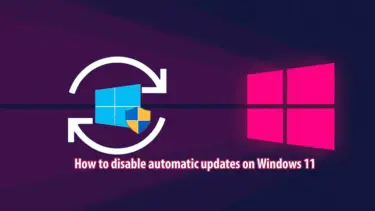 Disable automatic updates Windows 11