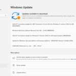 Disable automatic updates Windows 11