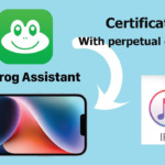 Install Bullfrog Assistant