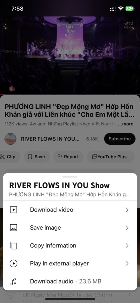 Download video Youtube MOD Iphone