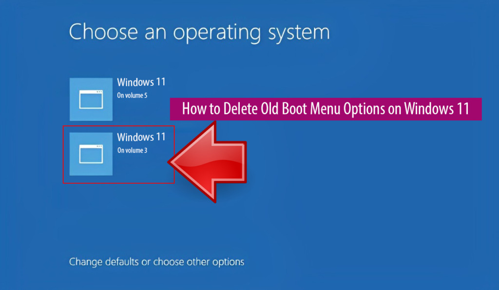 Delete Old Boot Menu Options on Windows 11