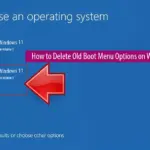 Delete Old Boot Menu Options Windows 11