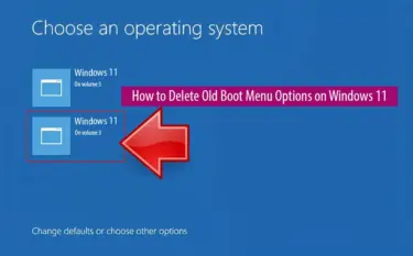 Delete Old Boot Menu Options Windows 11