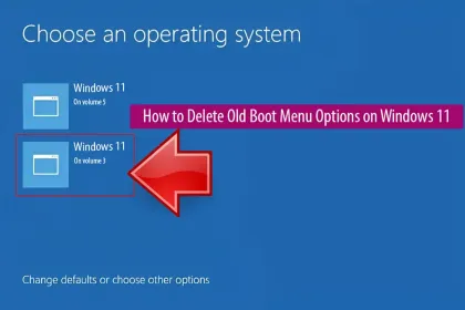 Delete Old Boot Menu Options Windows 11