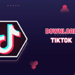 Tiktok Mod for iPhone and Android