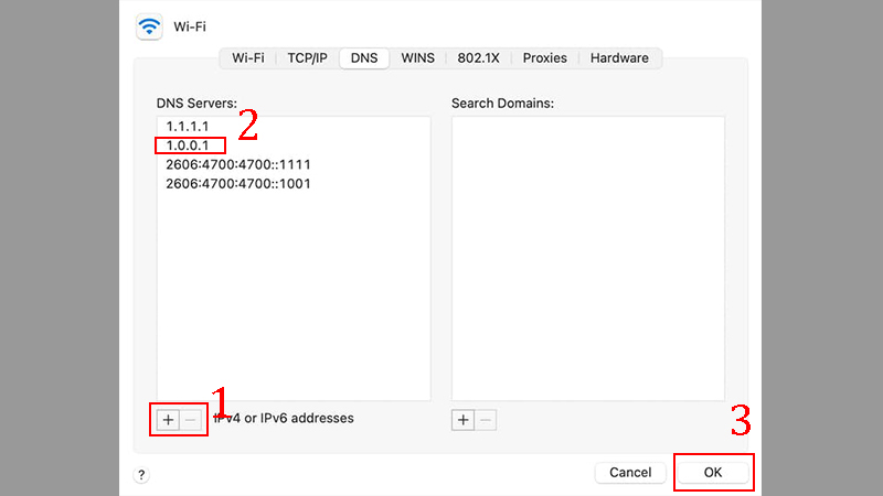 Add Altemnate DNS