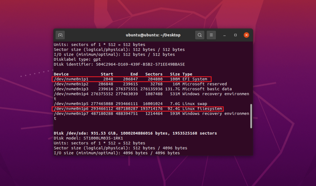 Identify the EFI System Partition