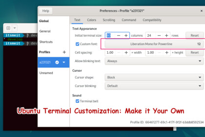 Custom Ubuntu Terminal