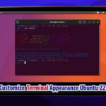 Oh My Zsh Custom Terminal Ubuntu