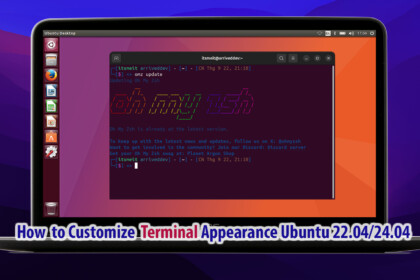 Oh My Zsh Custom Terminal Ubuntu