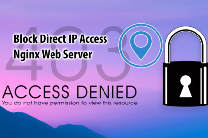 Block access to Nginx Server by IP