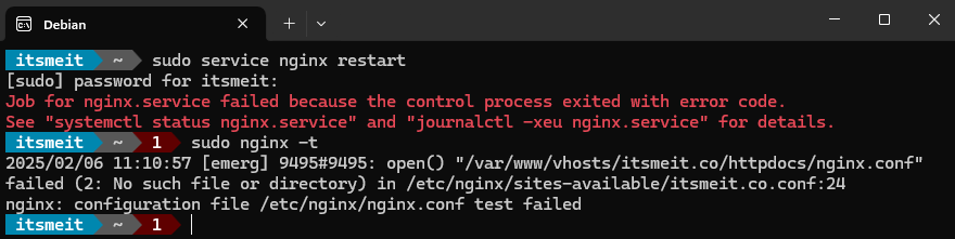 check nginx errors command