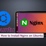 install nginx ubuntu