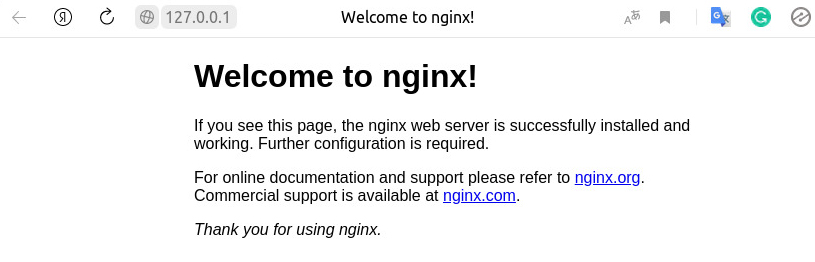 nginx status