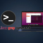 Linux grep command