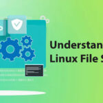 Linux file permissions