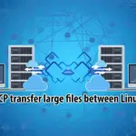 Use SCP to Transfer Data in Linux