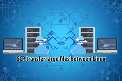 Use SCP to Transfer Data in Linux