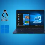 Backup WordPress Data in Docker